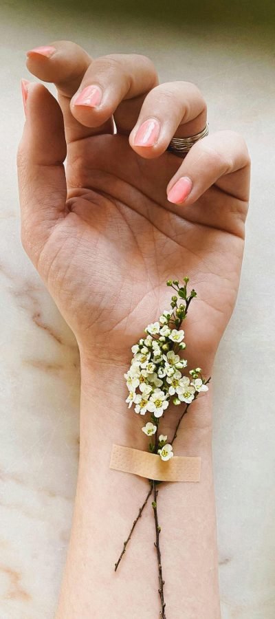 pexels-ann-sophie-snoeck-2810254-4350434